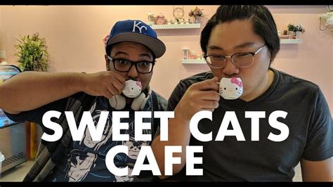 sweet cats cafe flushing